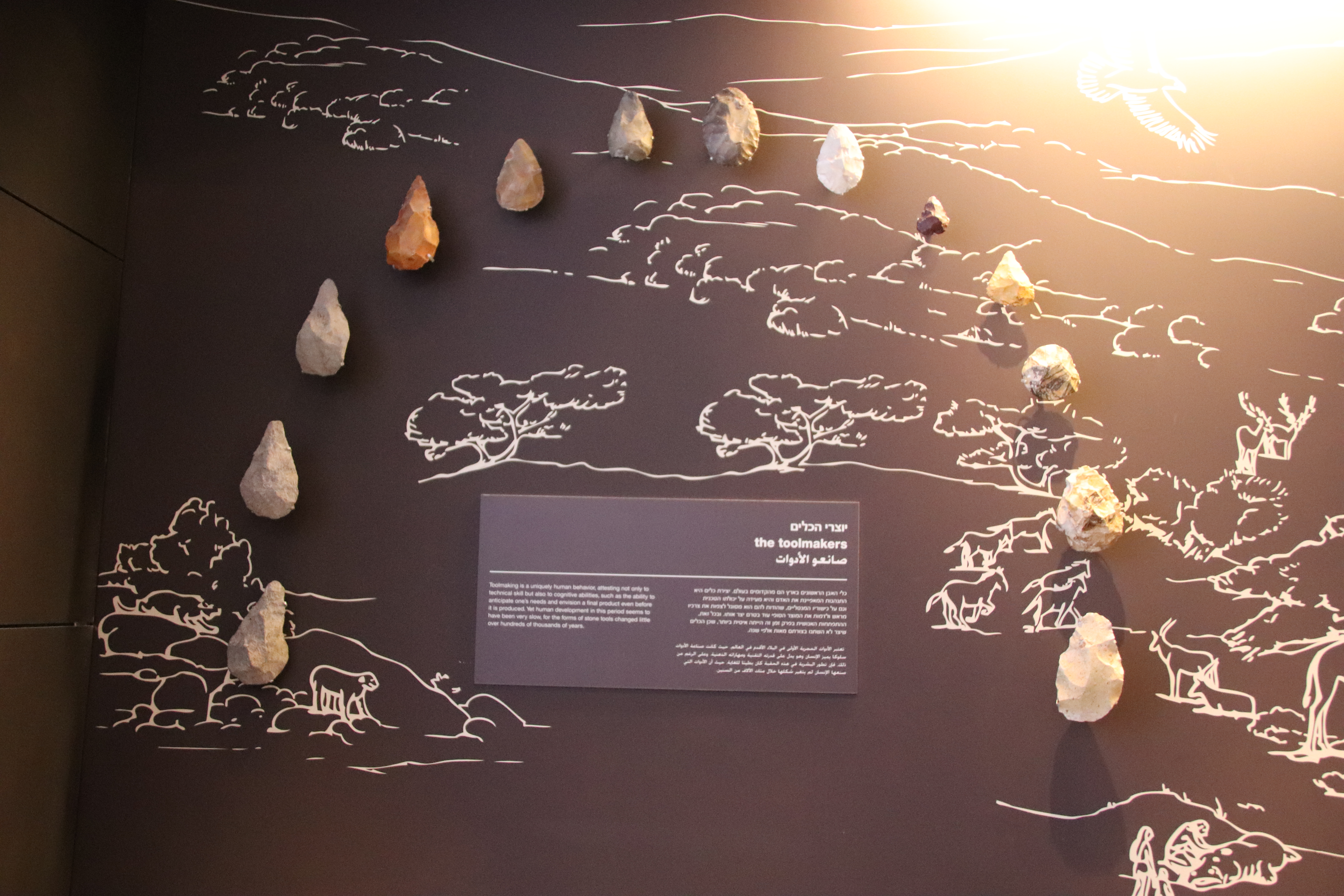 Coleção de ferramentas paleolíticas — exemplo da transmissão técnica e da diversidade de utensílios