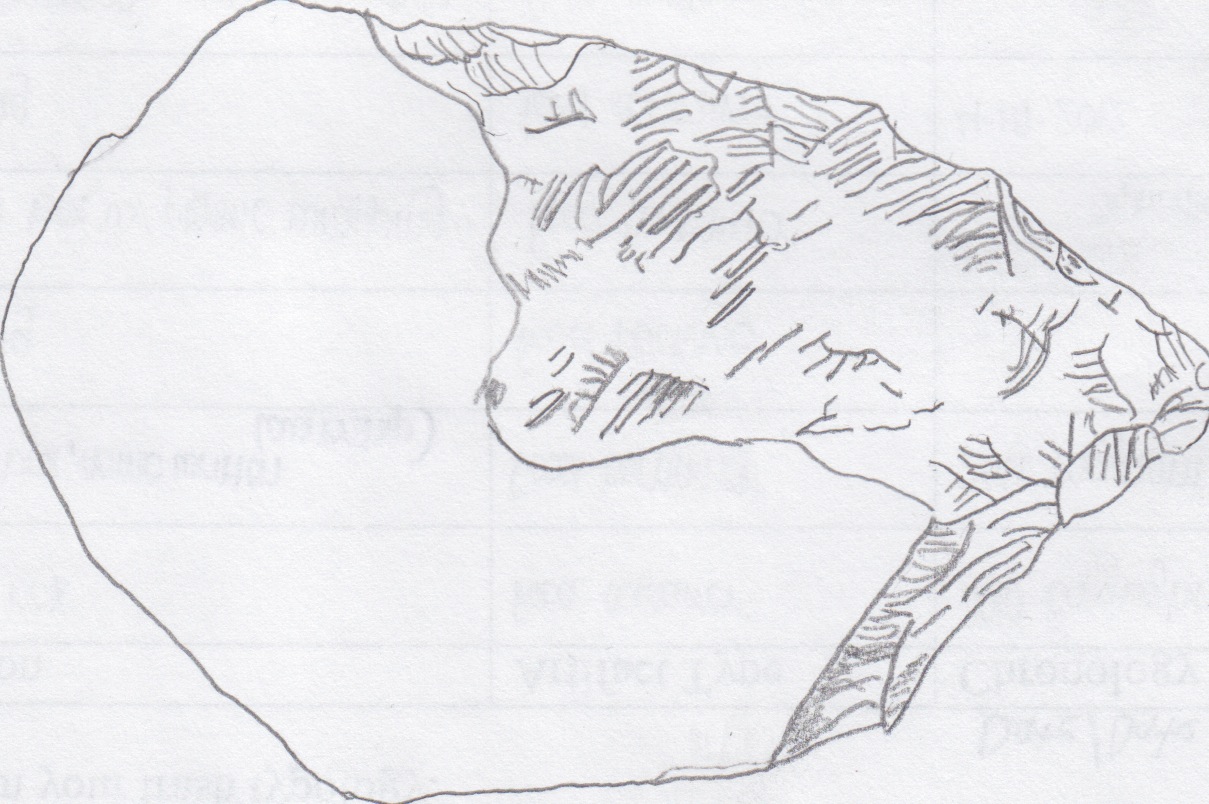 Esboço de ferramentas olduvaienses — uma imagem didática das primeiras indústrias líticas